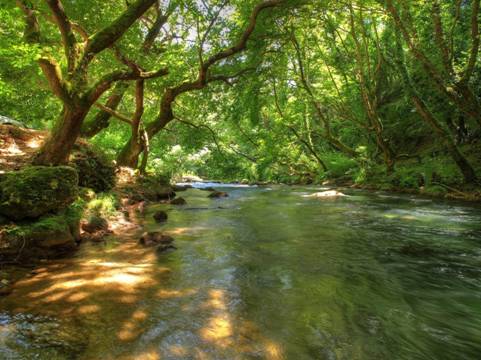 Kalamas river, Epirus, Greece-4c.jpg