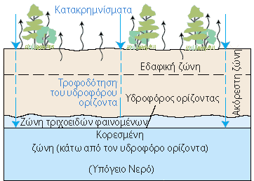 :      - Diagram showing how precipitation water seeps into the ground. 